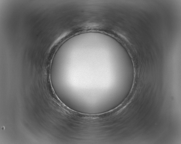 X0000080701309200612150826