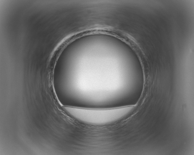 X0000080701310200612150826