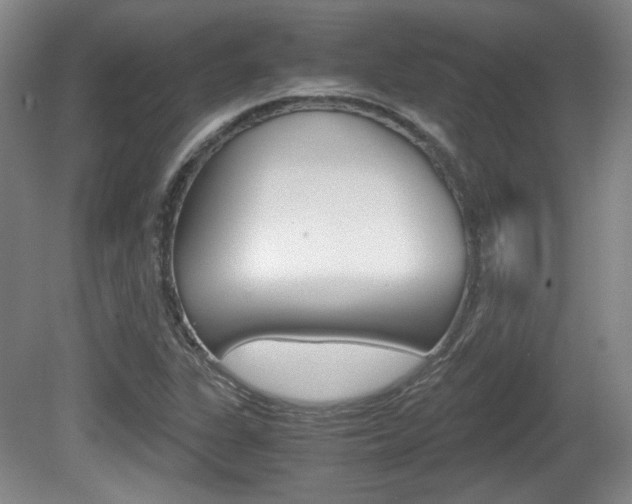 X0000080701311200612150826