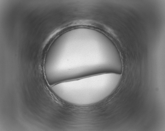 X0000080701312200612150826