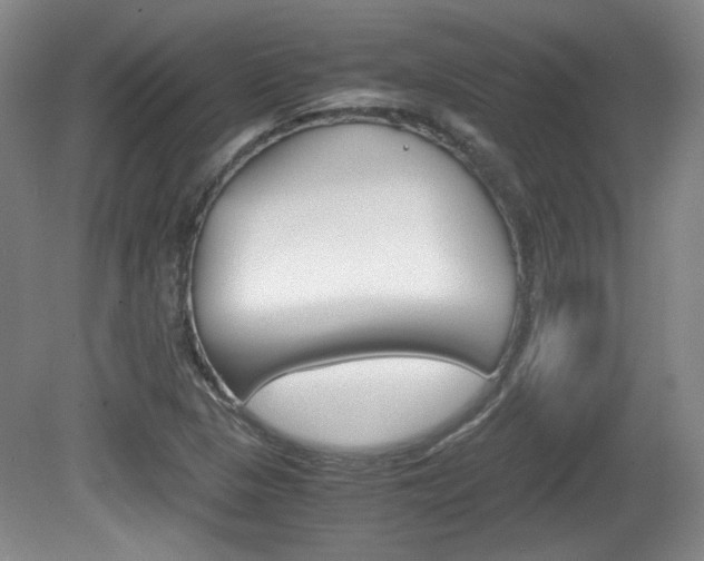 X0000080701313200612150826