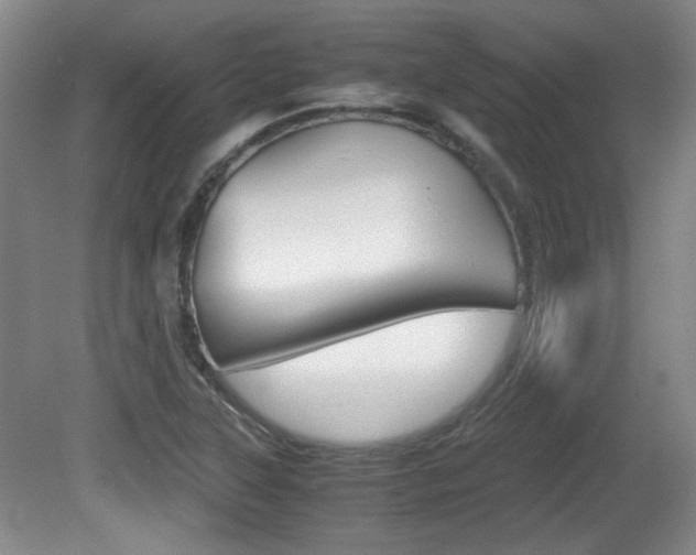 X0000080701315200612150826