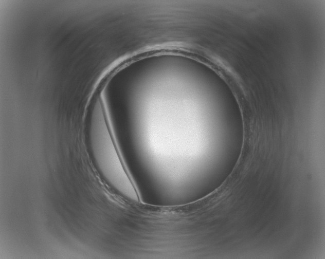 X0000080701316200612150826