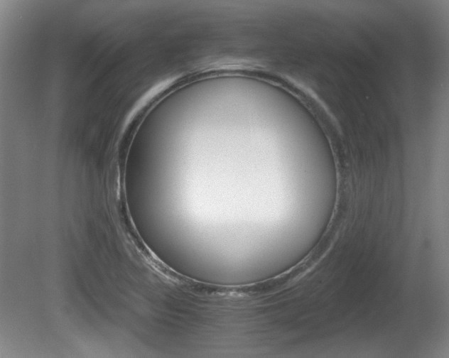 X0000080701317200612150826