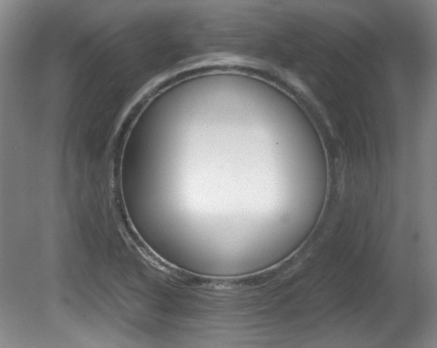 X0000080701318200612150826