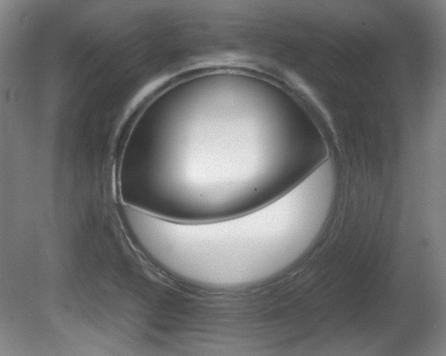 X0000080701320200612150826