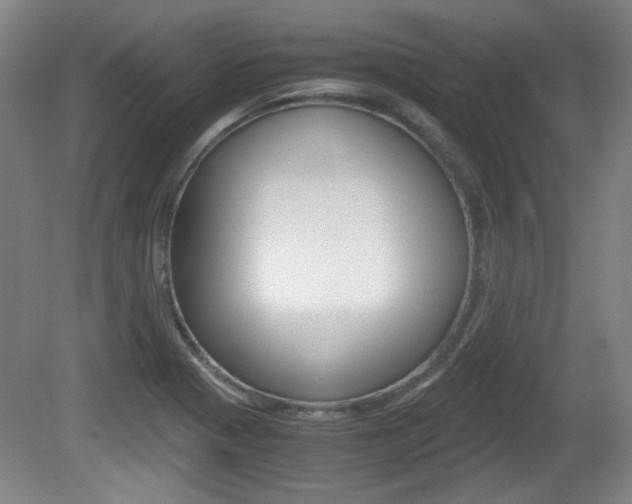 X0000080701321200612150826