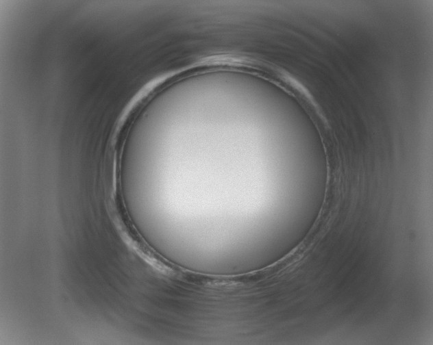 X0000080701323200612150826