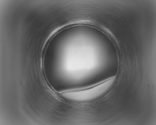 X0000080701324200612150826
