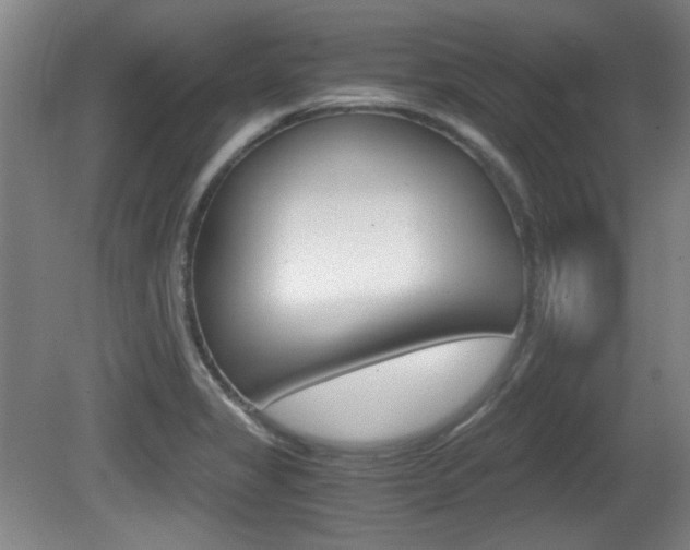 X0000080701325200612150826