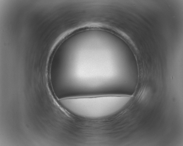 X0000080701327200612150826
