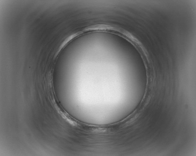 X0000080701329200612150826