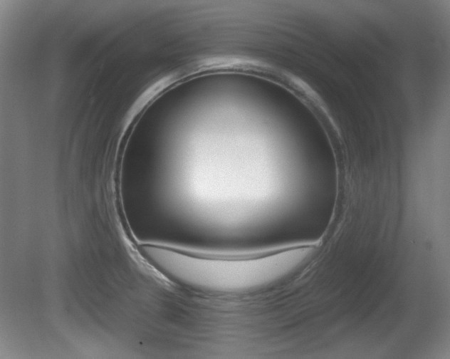 X0000080701330200612150826