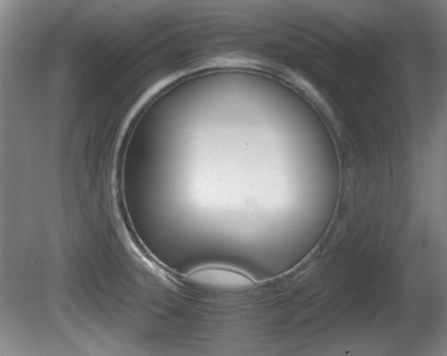 X0000080701331200612150826