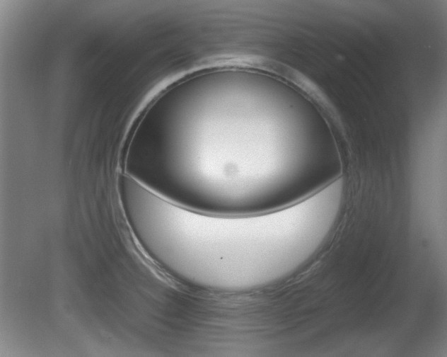 X0000080701332200612150826