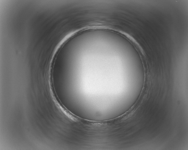 X0000080701333200612150826