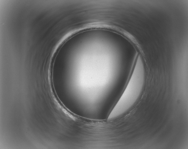X0000080701334200612150826