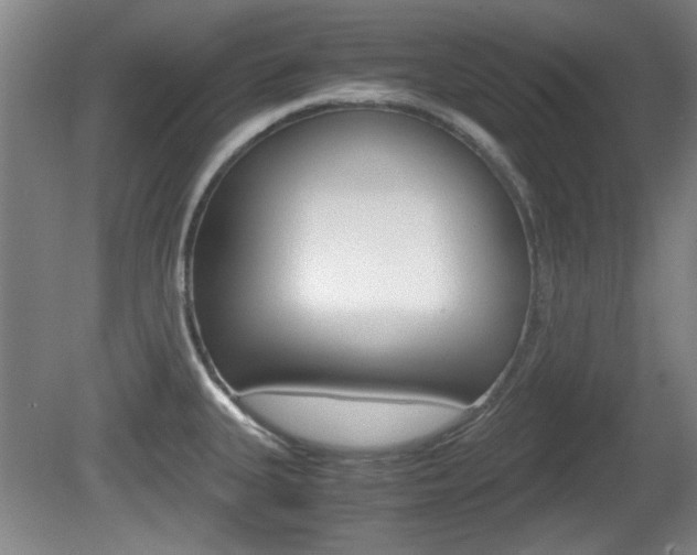 X0000080701335200612150826