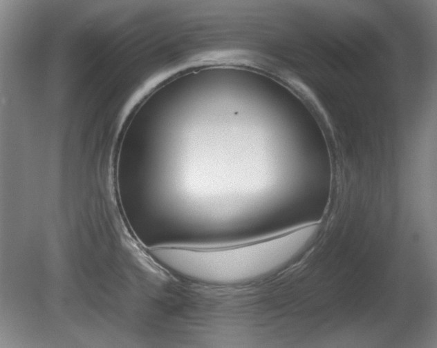 X0000080701336200612150826
