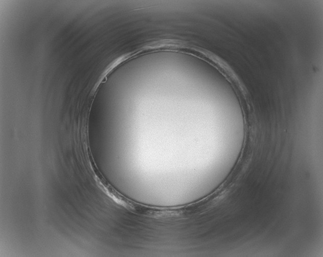 X0000080701337200612150826