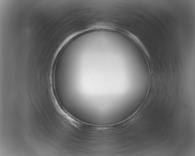 X0000080701339200612150827