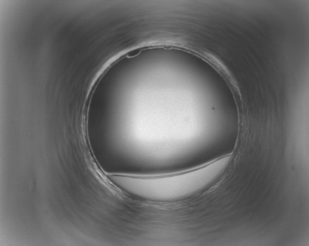X0000080701340200612150827