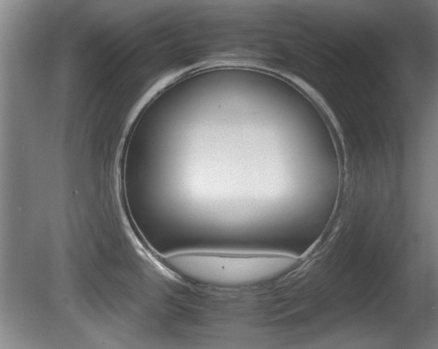 X0000080701341200612150827