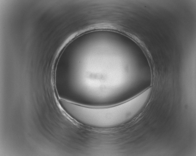 X0000080701342200612150827