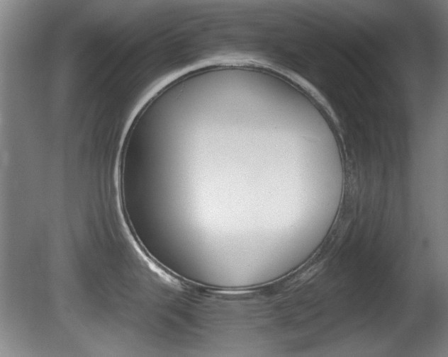X0000080701343200612150827