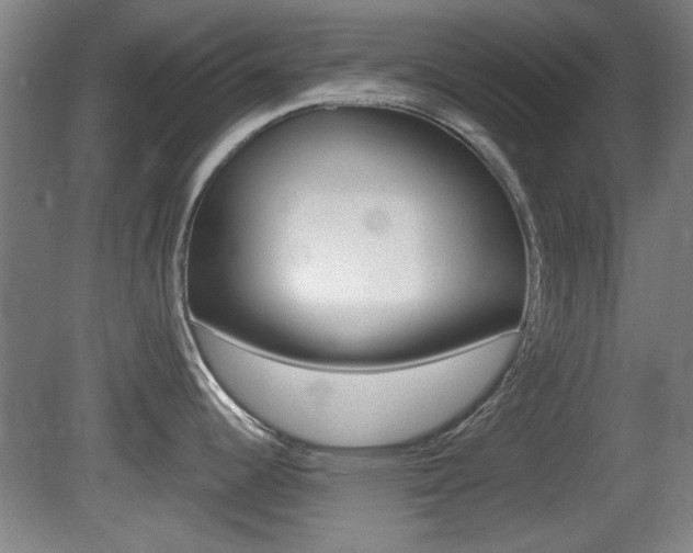 X0000080701344200612150827