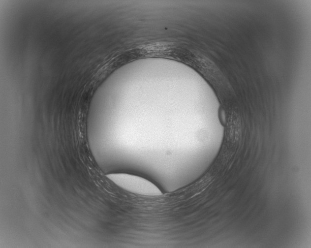 X0000080701346200612150826