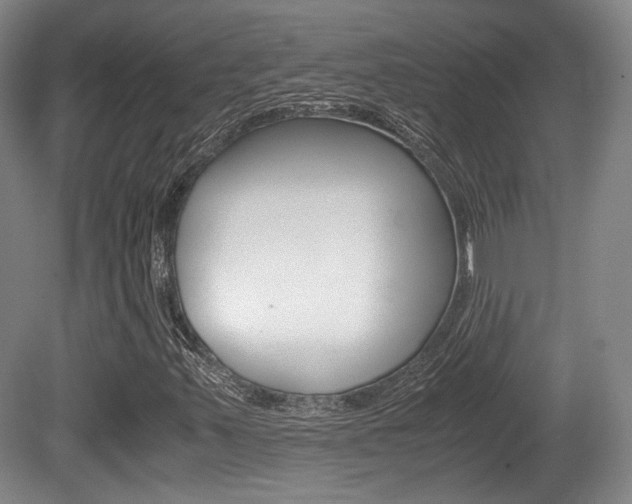 X0000080701347200612150826