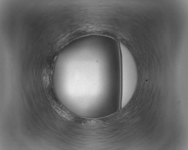 X0000080701348200612150826