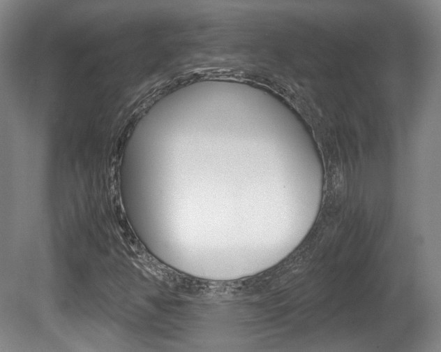 X0000080701350200612150826