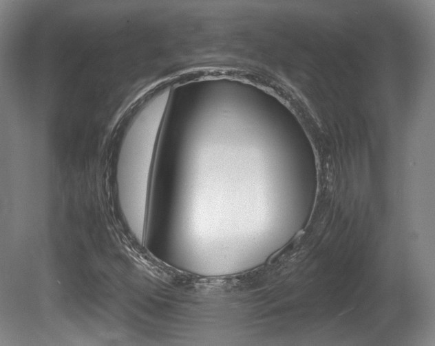 X0000080701352200612150826