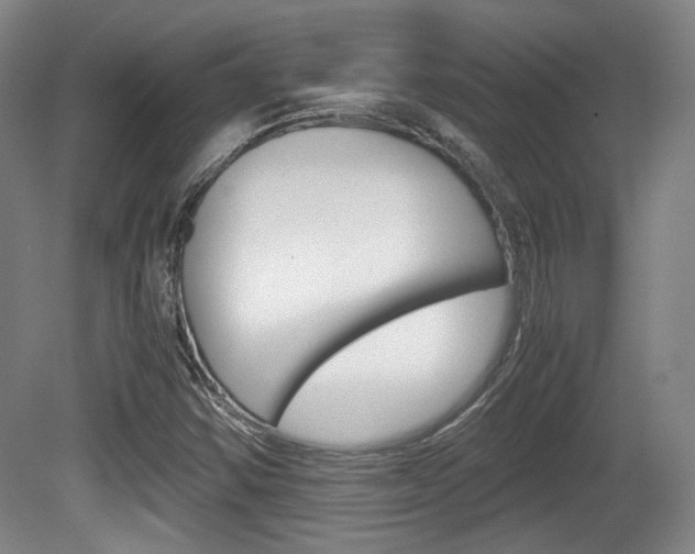 X0000080701354200612150826