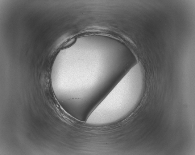X0000080701355200612150826