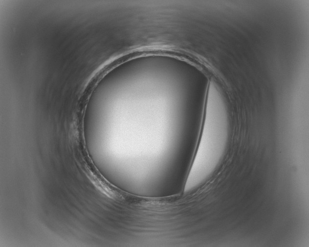 X0000080701356200612150826