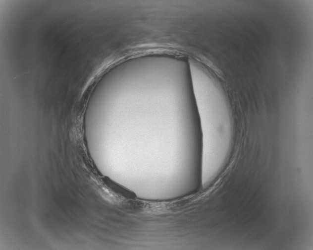 X0000080701357200612150826