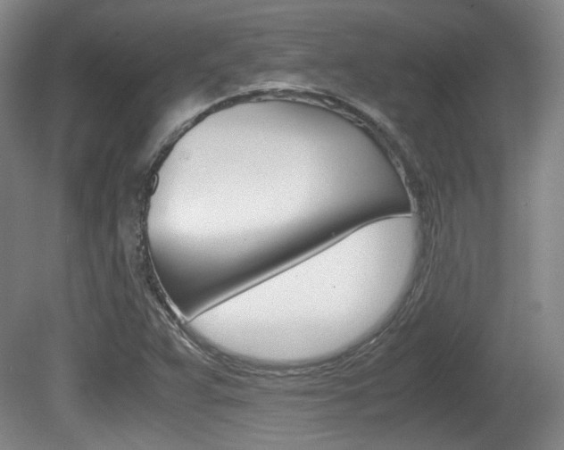 X0000080701359200612150826