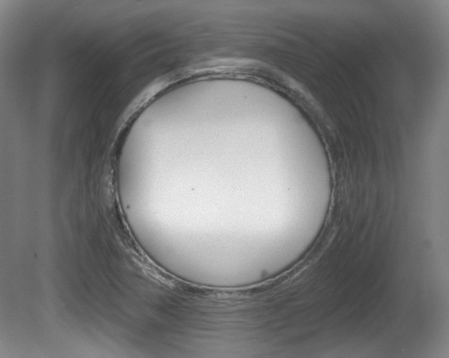X0000080701362200612150826