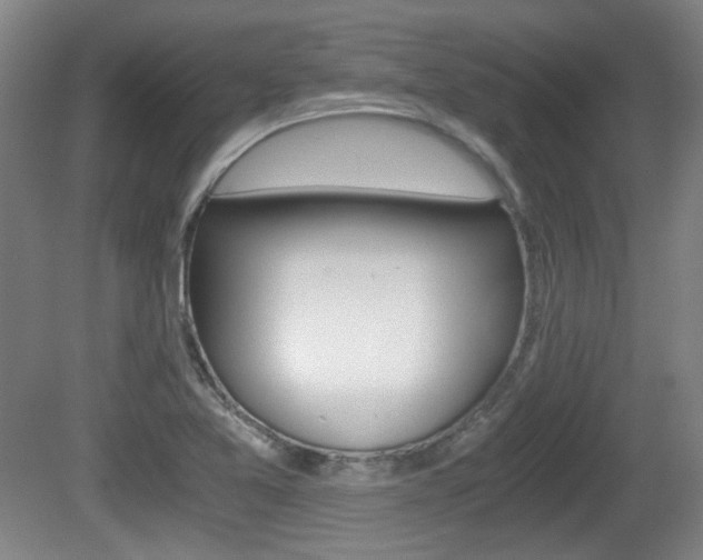 X0000080701365200612150825