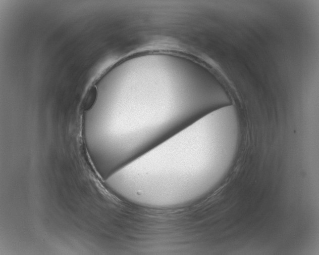 X0000080701366200612150825