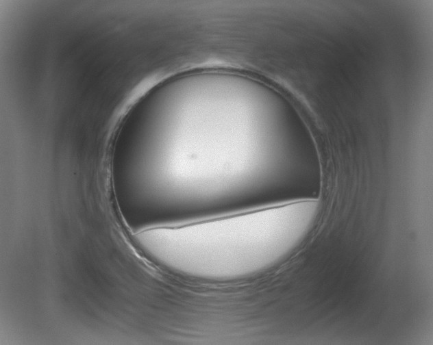 X0000080701367200612150825