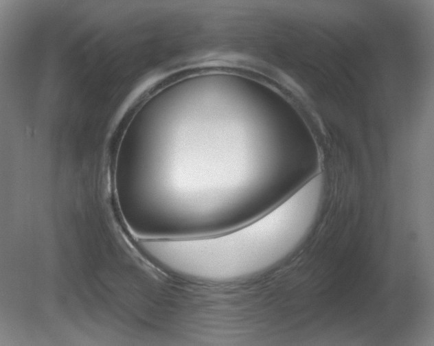 X0000080701368200612150825