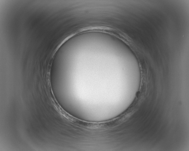 X0000080701369200612150825