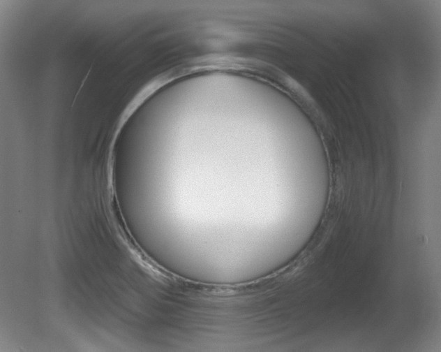 X0000080701370200612150825