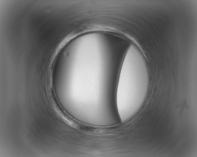 X0000080701371200612150825