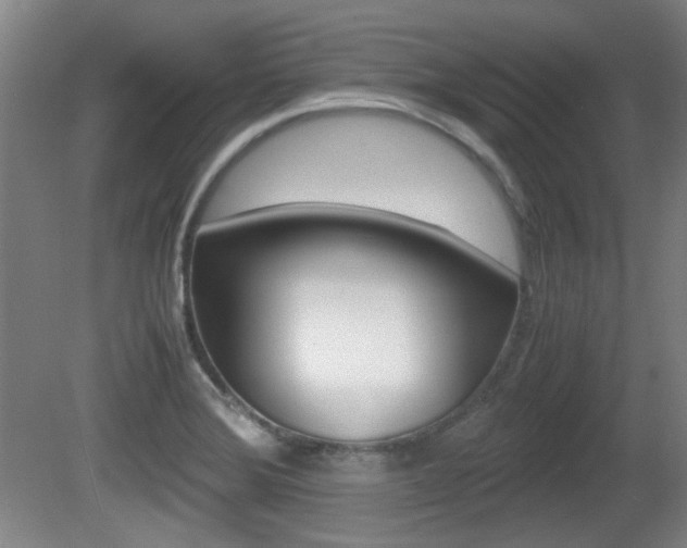 X0000080701372200612150825