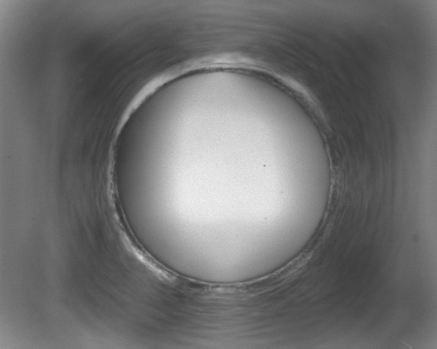 X0000080701374200612150825